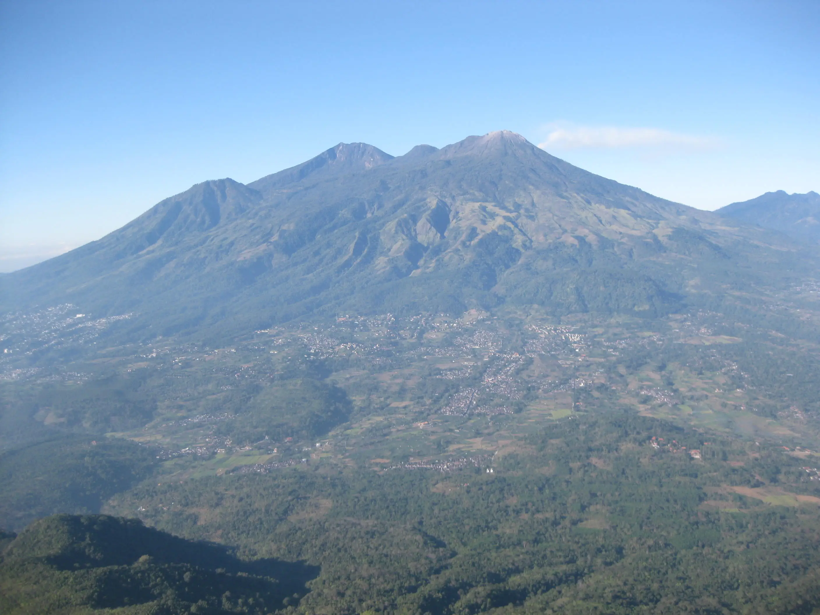 Robusta coffee origin from Pasuruan, East Java, Indonesia – Mount Arjuno–Welirang volcanic highlands